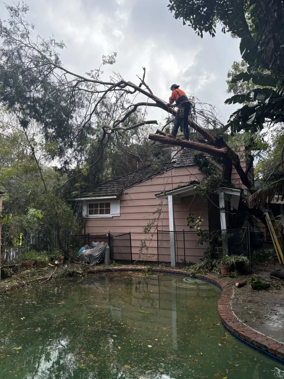 A crew working on a house roof to clear a large failed limb that has come down across it