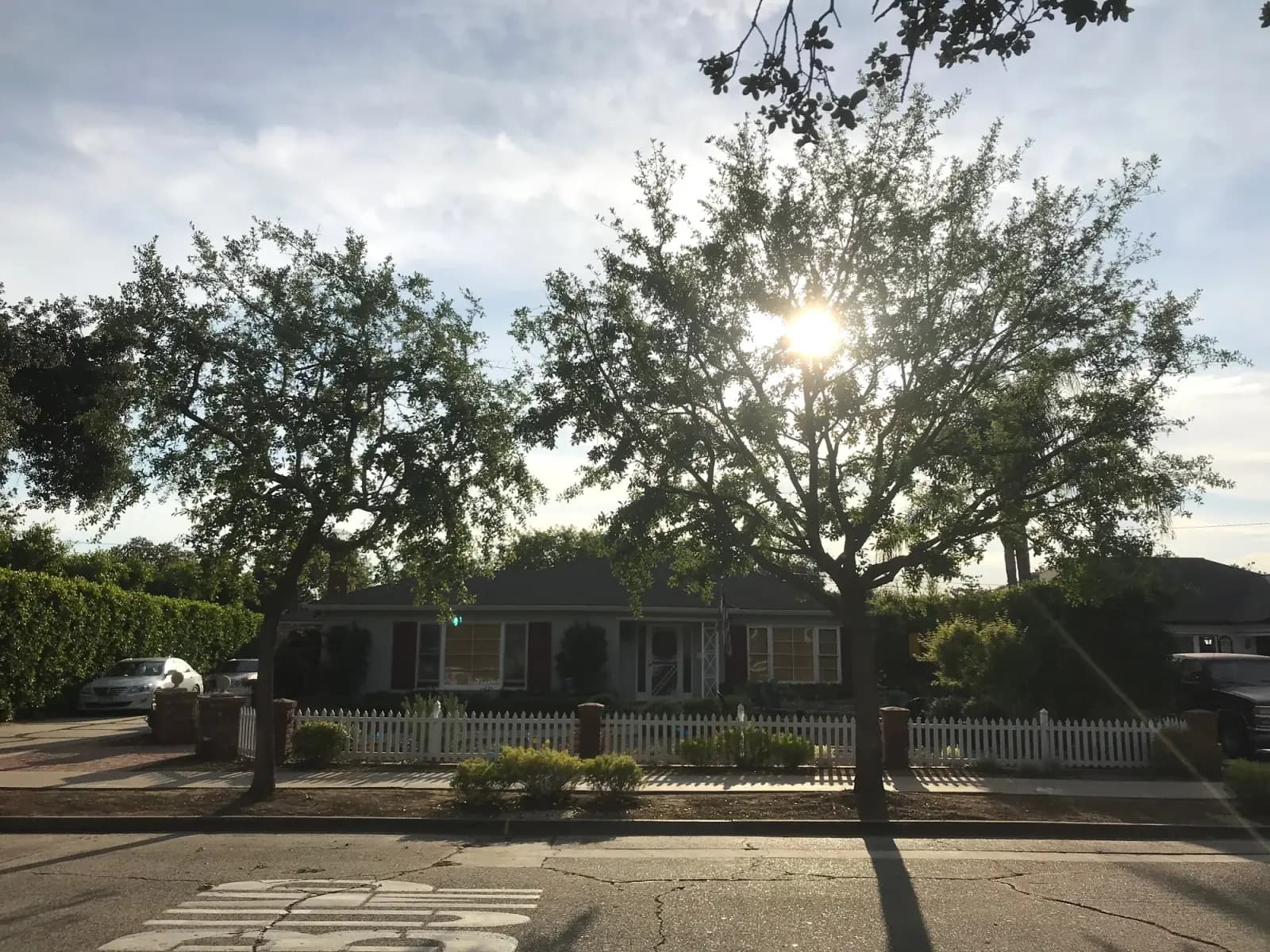 A mature broadleaf shade tree in full leaf over a single-storey ranch house behind a white picket fence