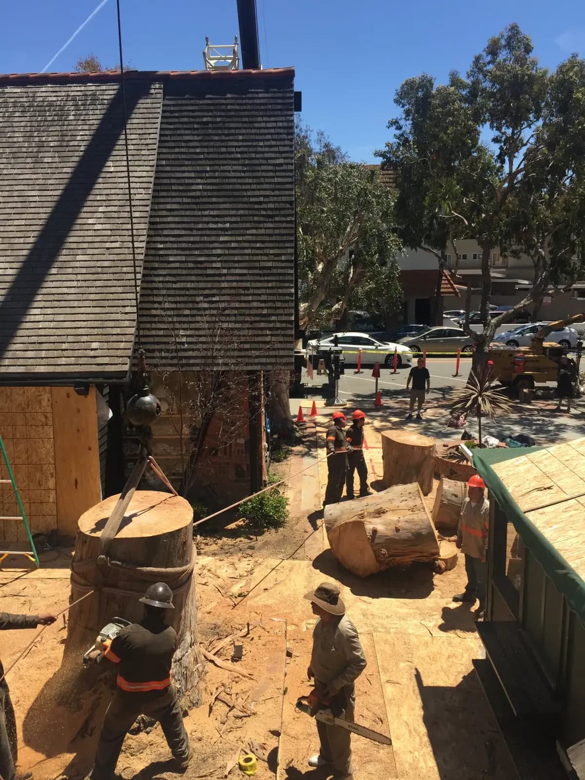 Oversized trunk rounds on the ground beside a shingled building, crew and cones around the work area