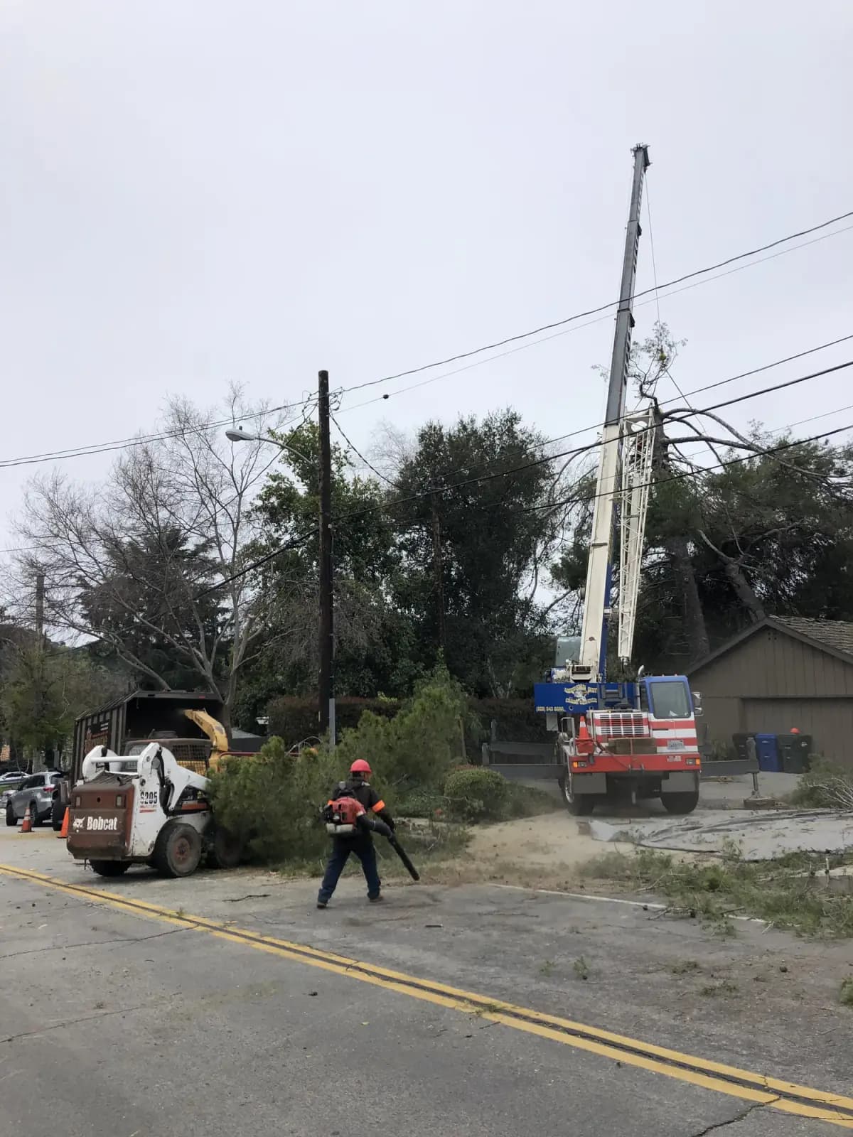 A skid steer and a lift truck working a street verge under overhead lines, a crew member clearing brush