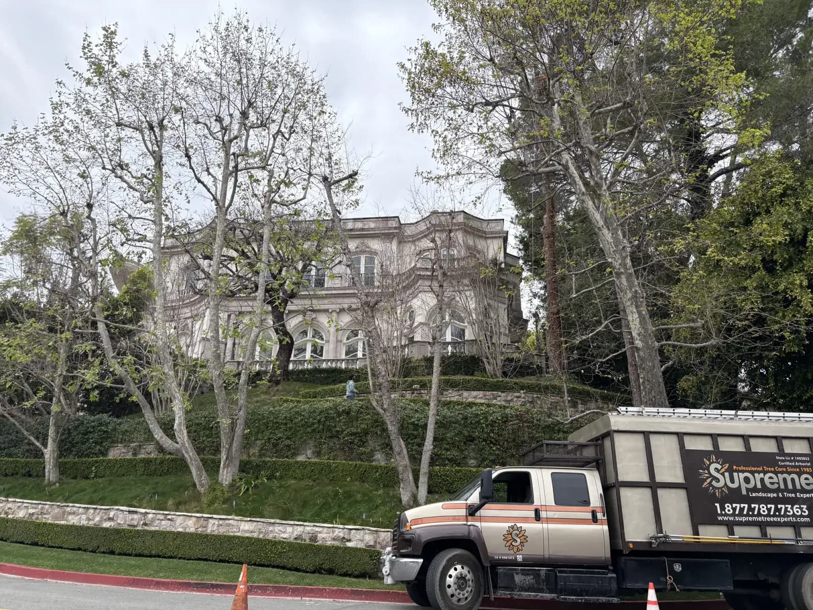 A branded Supreme Tree Experts truck parked at the kerb outside a large hillside estate