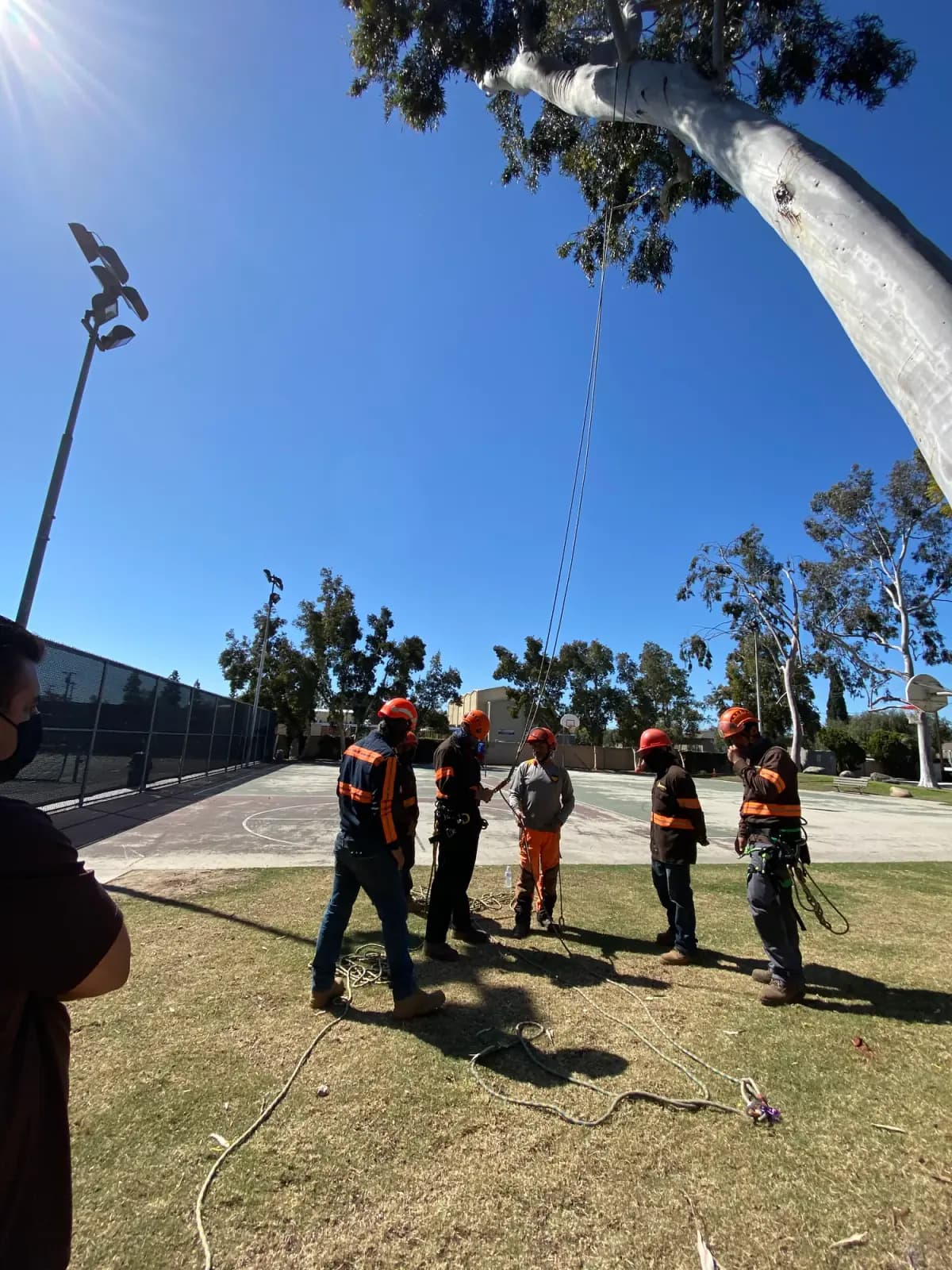 A tree crew in helmets and hi-vis lined up on an open field for a training session