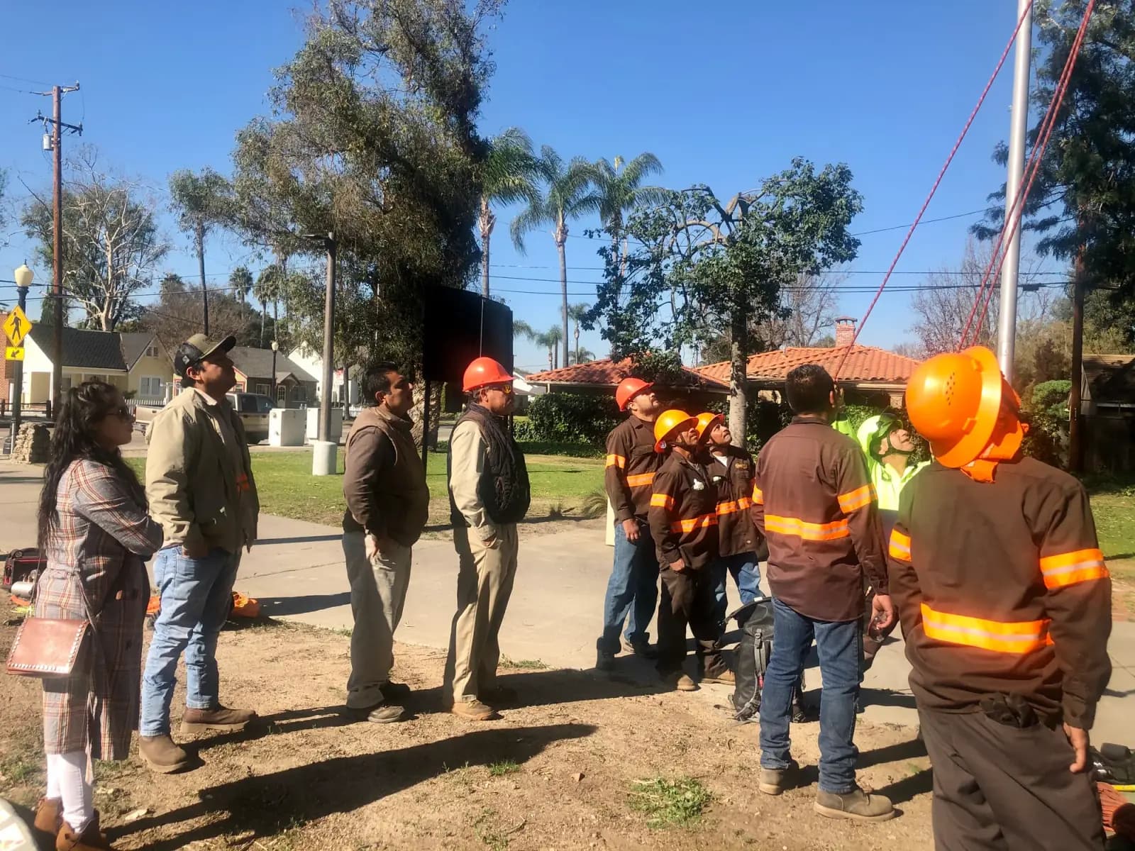 A tree crew gathered for a morning briefing on a residential street before work starts