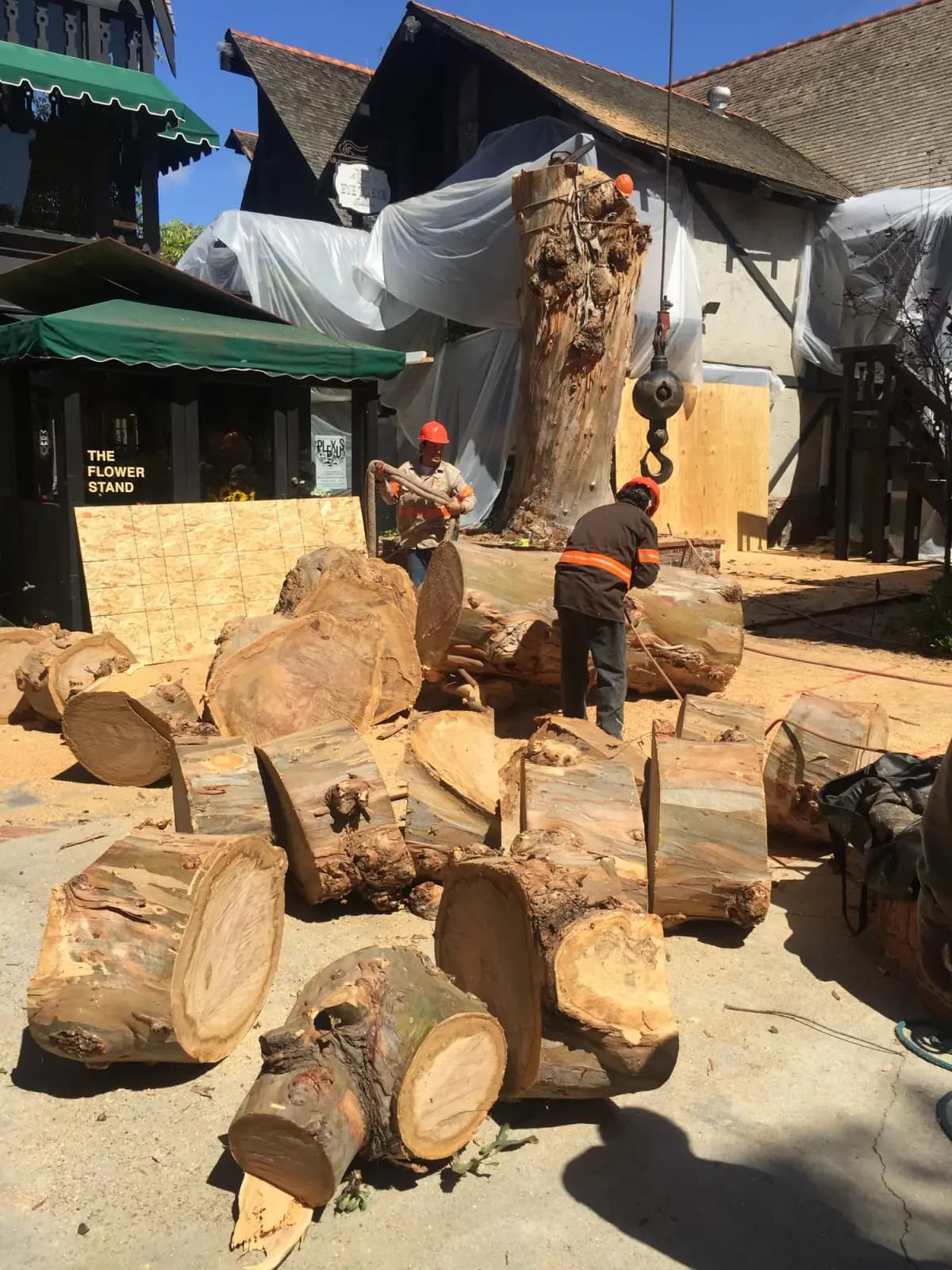 Heavy trunk rounds stacked on the ground outside a storefront while a crew member cuts another to length