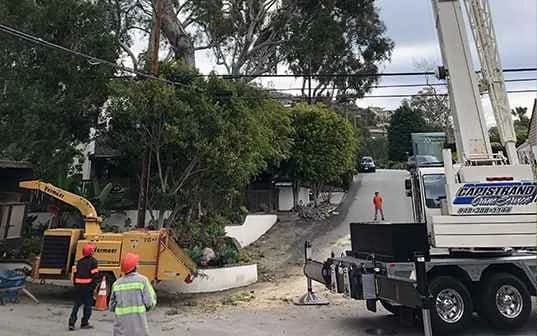 A tree crew working from the curb on a residential street, with cones out and the chipper running — tree service serving Glendora, CA