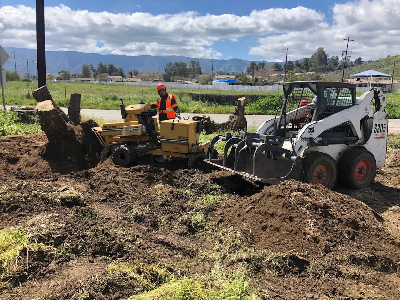 A Supreme Tree Experts crew grinding out stumps with a Vermeer grinder and Bobcat loader during a lot clearing