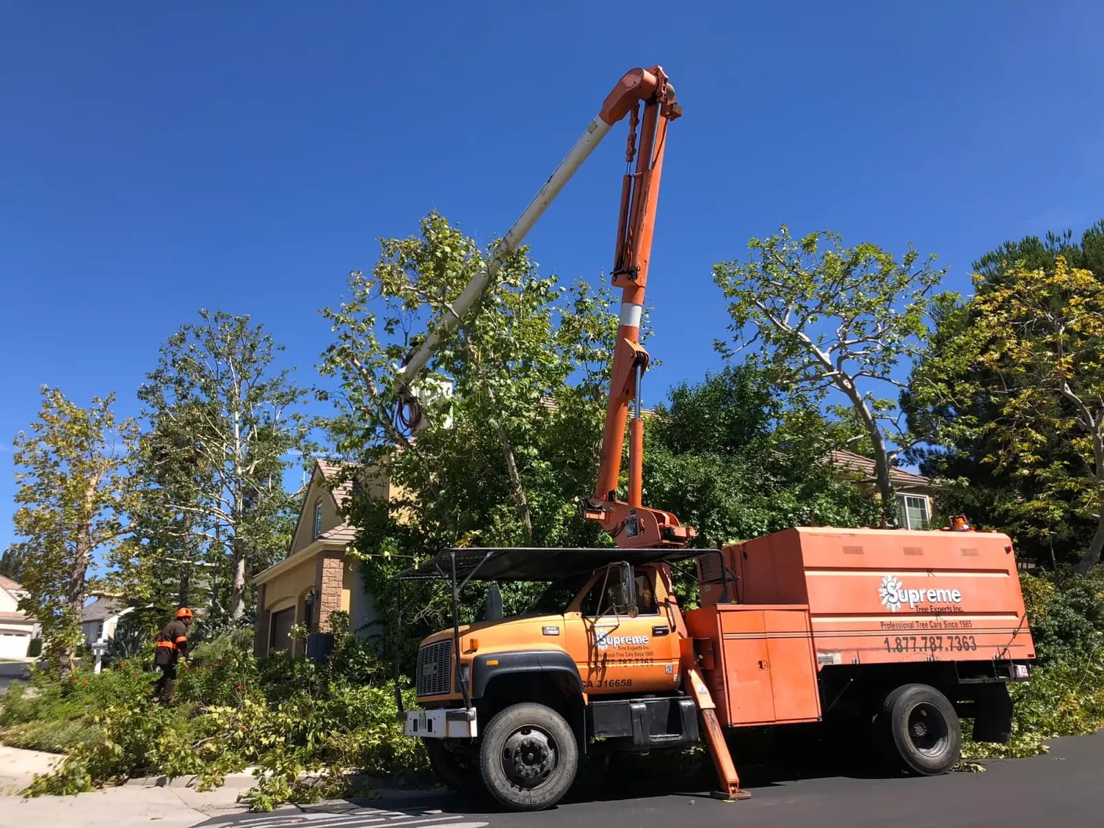 Tree height reduction from a boom truck