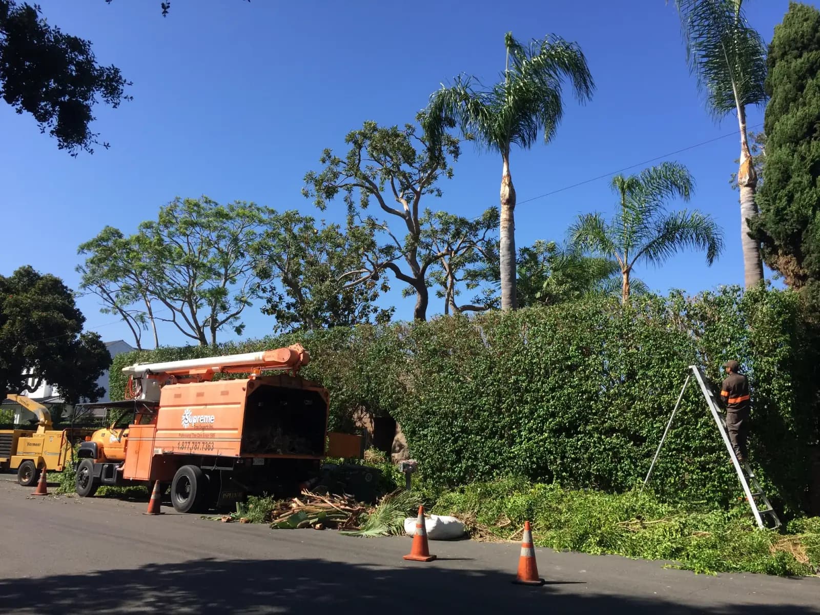 Tree trimming crew with a chipper truck