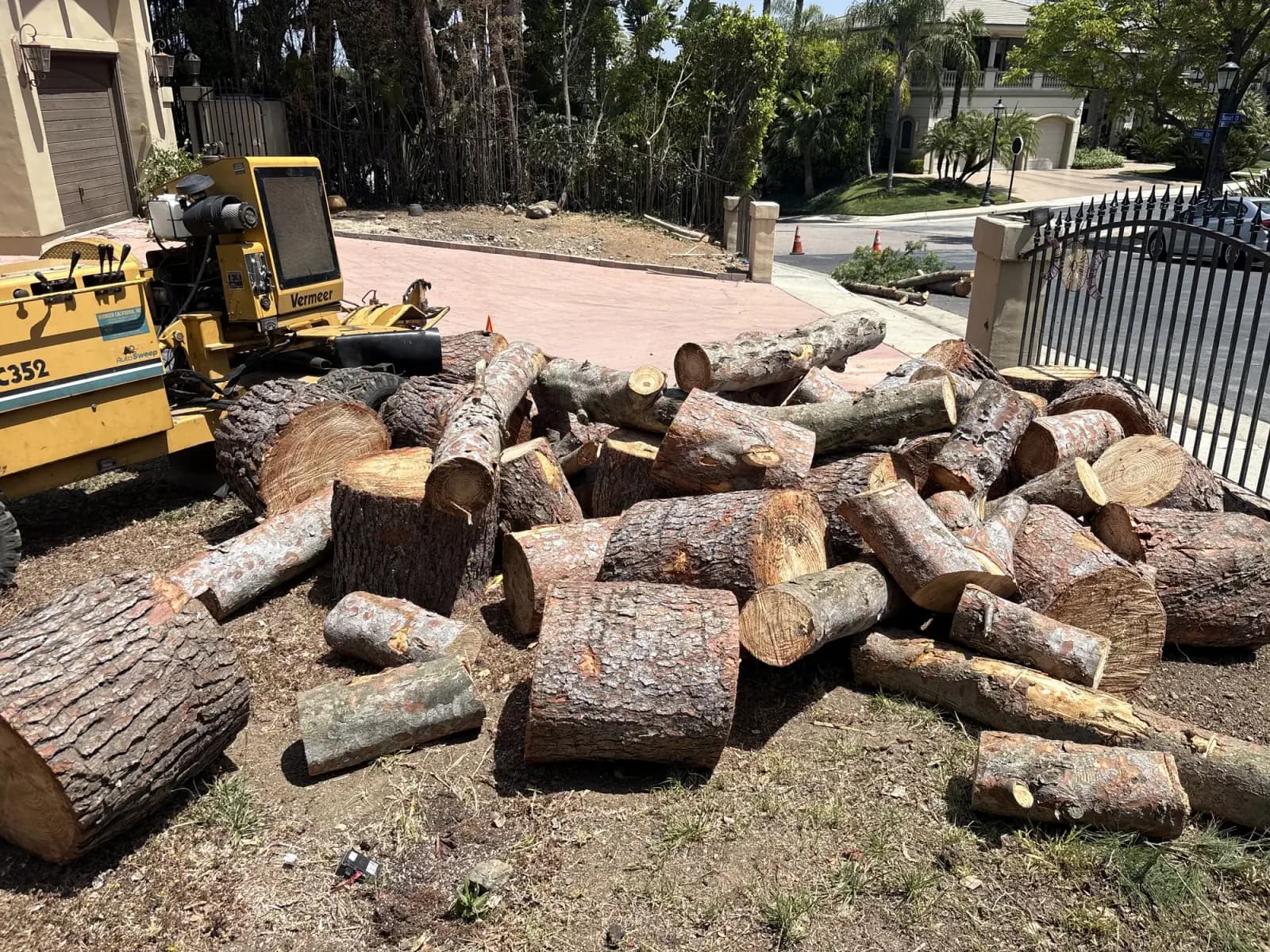 Tree removal: trunk cut into log rounds