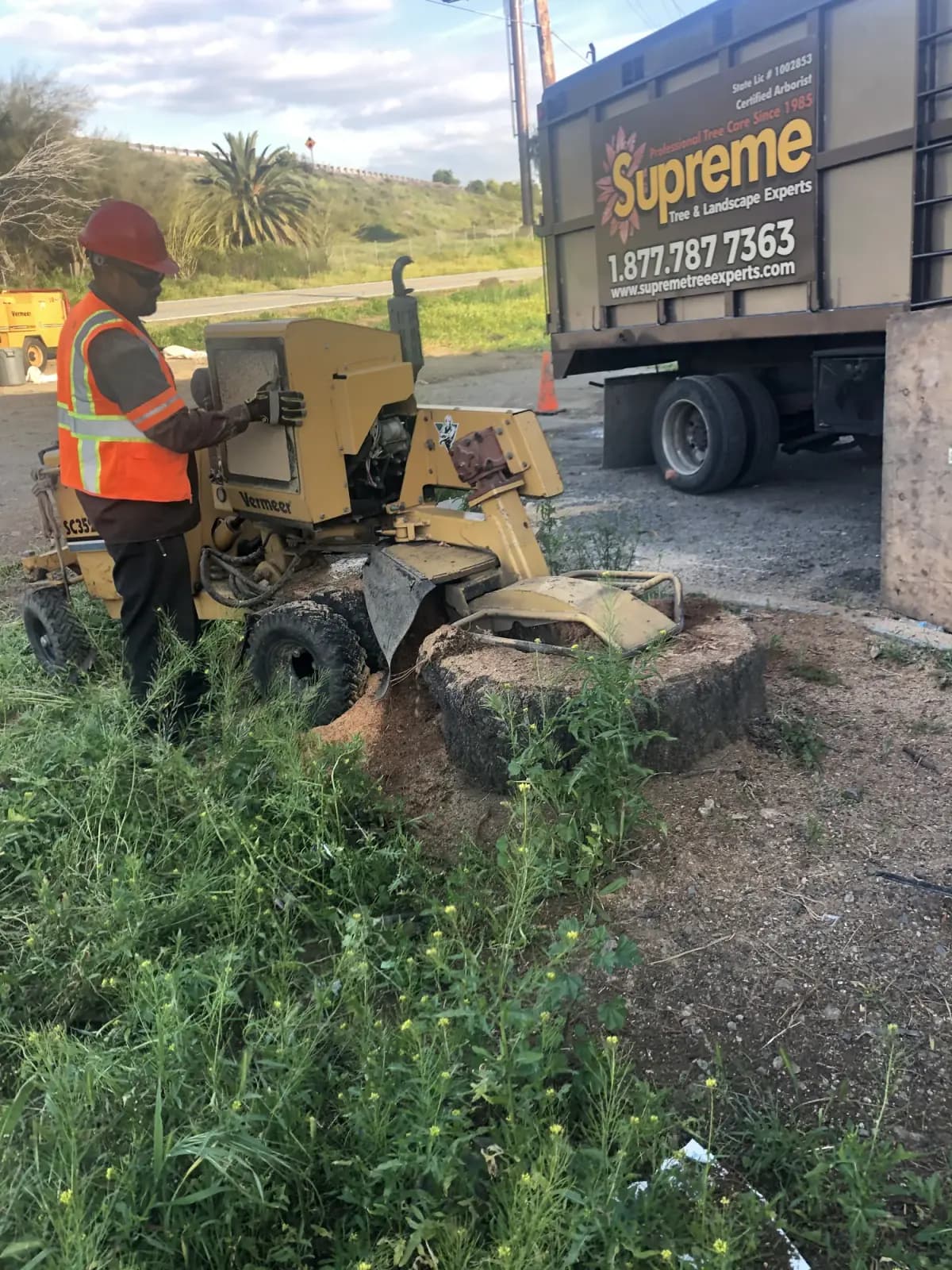 Stump grinding with a Vermeer grinder
