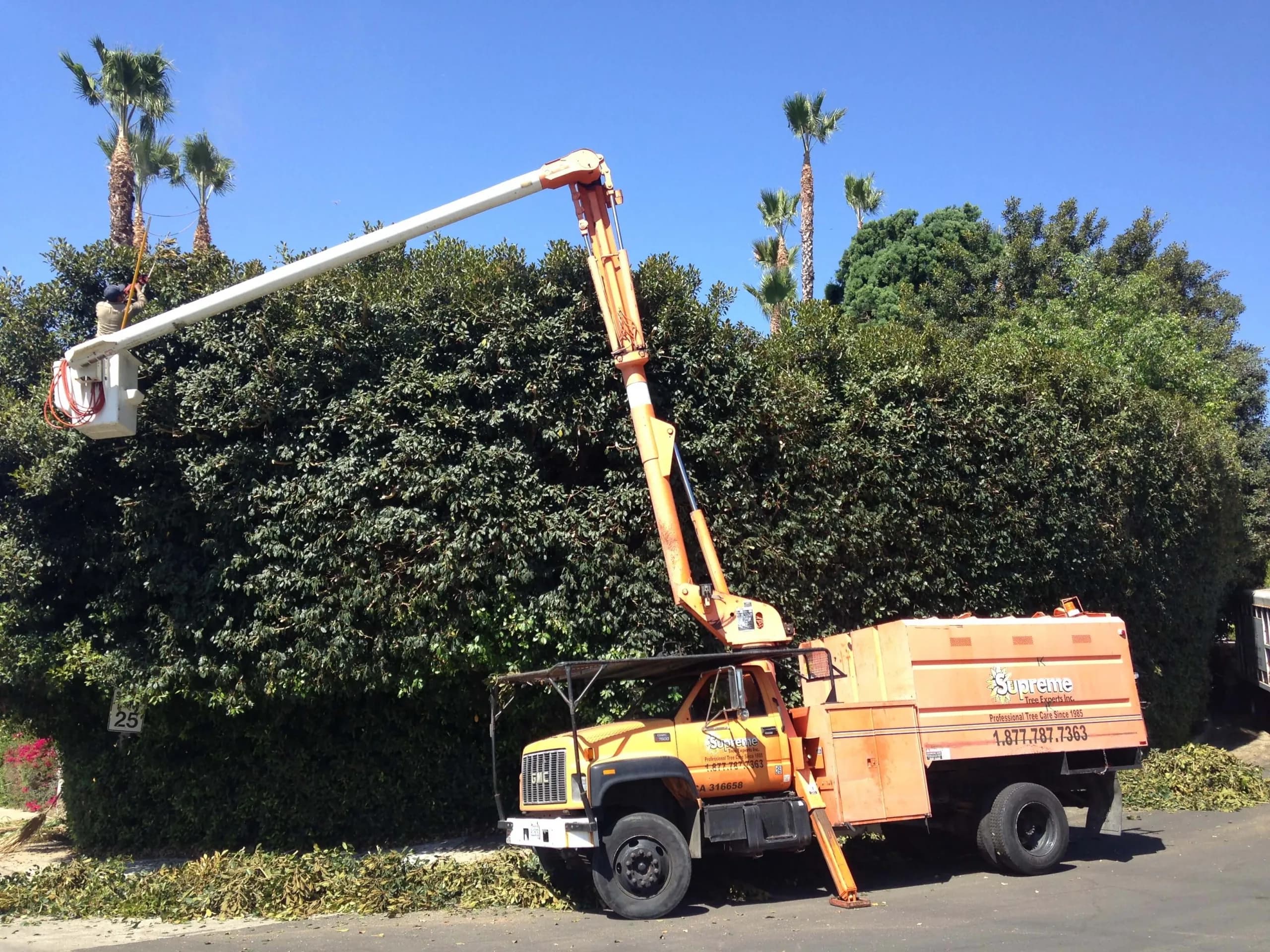 Hedge shearing from a boom truck