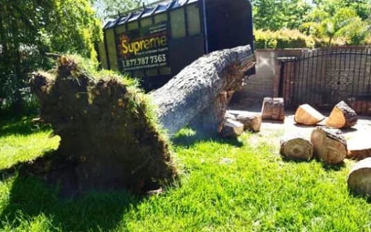 A windthrown tree lying across a front lawn with its root plate torn clean out of the ground, cut rounds stacked beside a Supreme Tree Experts chipper truck