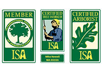 International Society of Arboriculture member and certification plaques