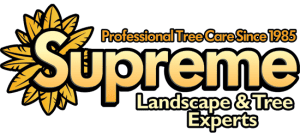 Supreme Tree Experts — Professional Tree Care Since 1985